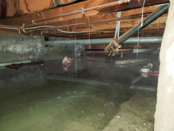 Best Water damage cleanup near me  in Laurium, MI