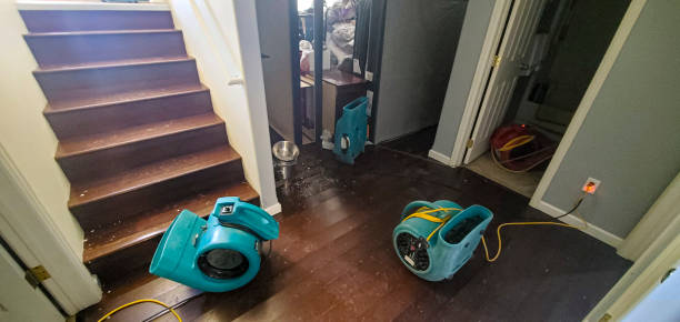 Best Local water damage restoration  in Laurium, MI